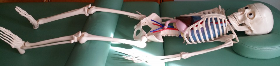 conociendo la osteopatia