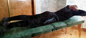 20150305_120230_20150305121024781